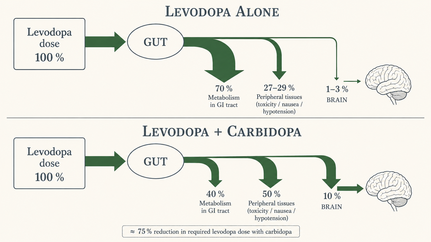 Figure 7 — Effect of carbidopa on the fate of an oral levodopa dose