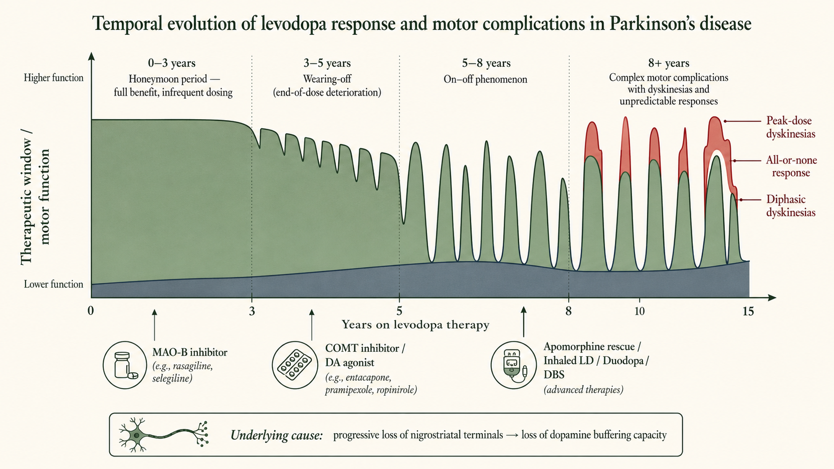 Figure 6 — Temporal evolution of levodopa response and motor complications in PD