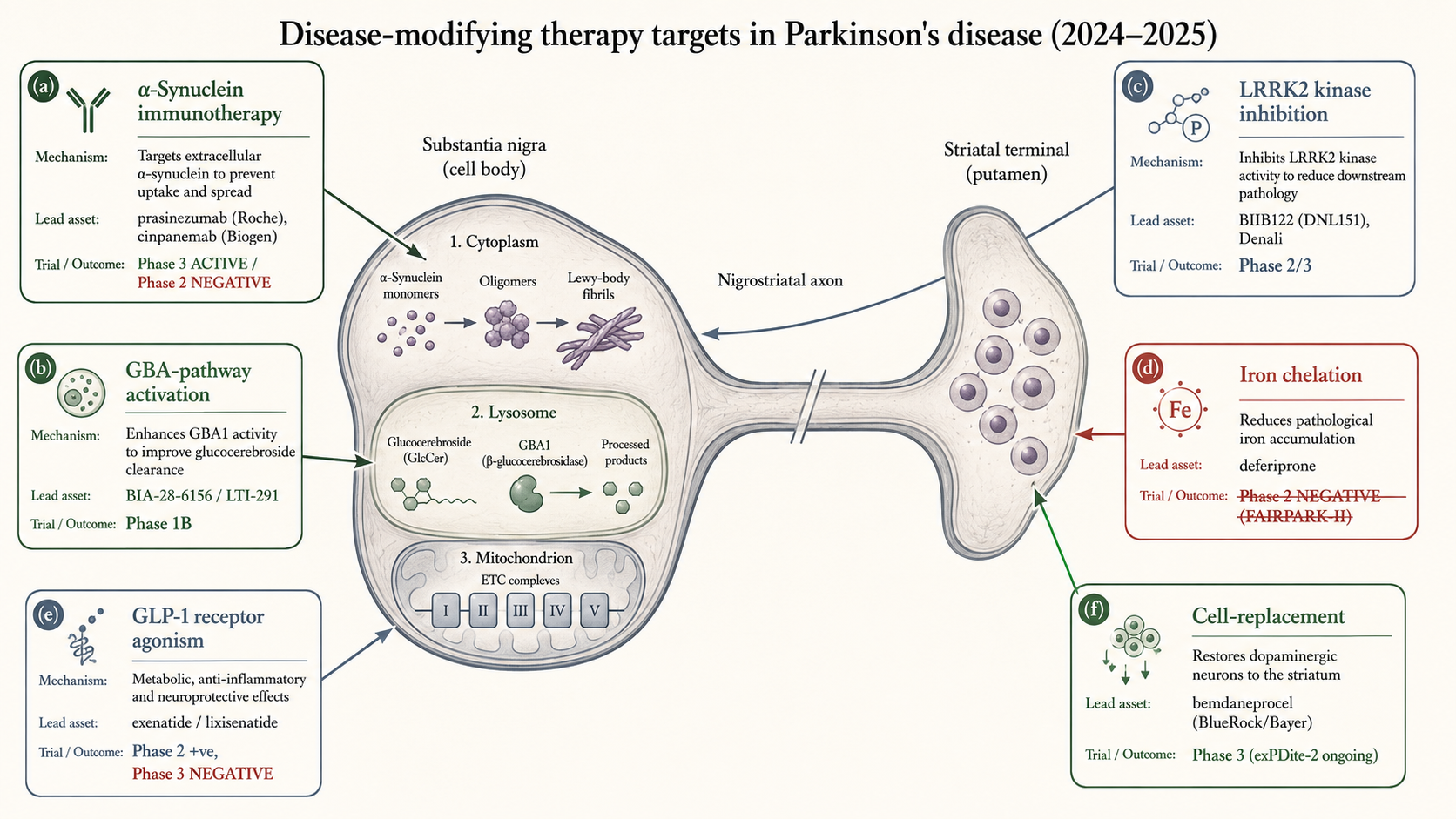 Figure 11 [RA] — Disease-modifying therapy targets in Parkinson's disease (2024–2025)