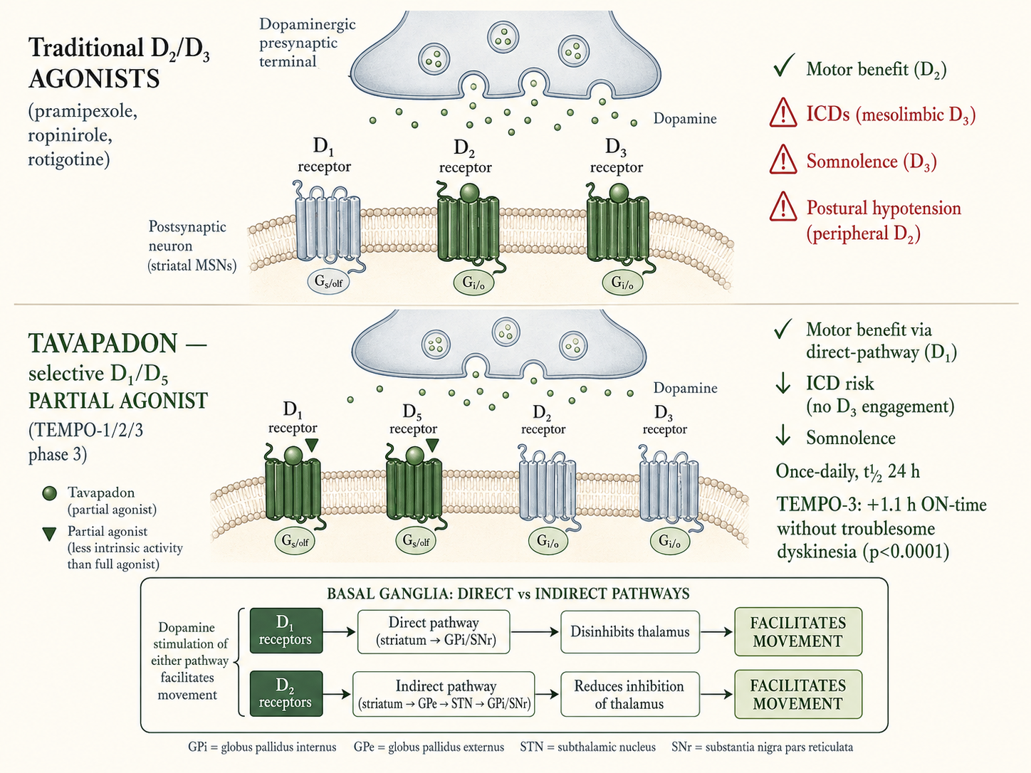 Figure 12 [RA] — Tavapadon's selective D₁/D₅ partial agonism vs traditional D₂/D₃ agonist mechanism