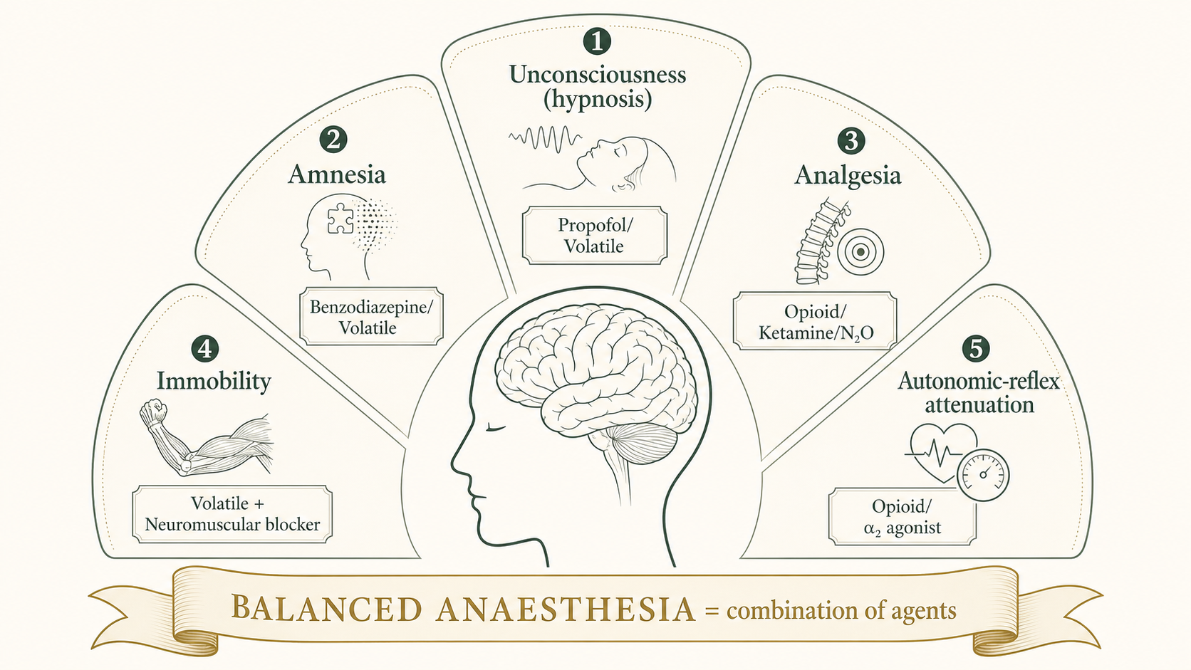Figure 1 — Five components of the anaesthetic state