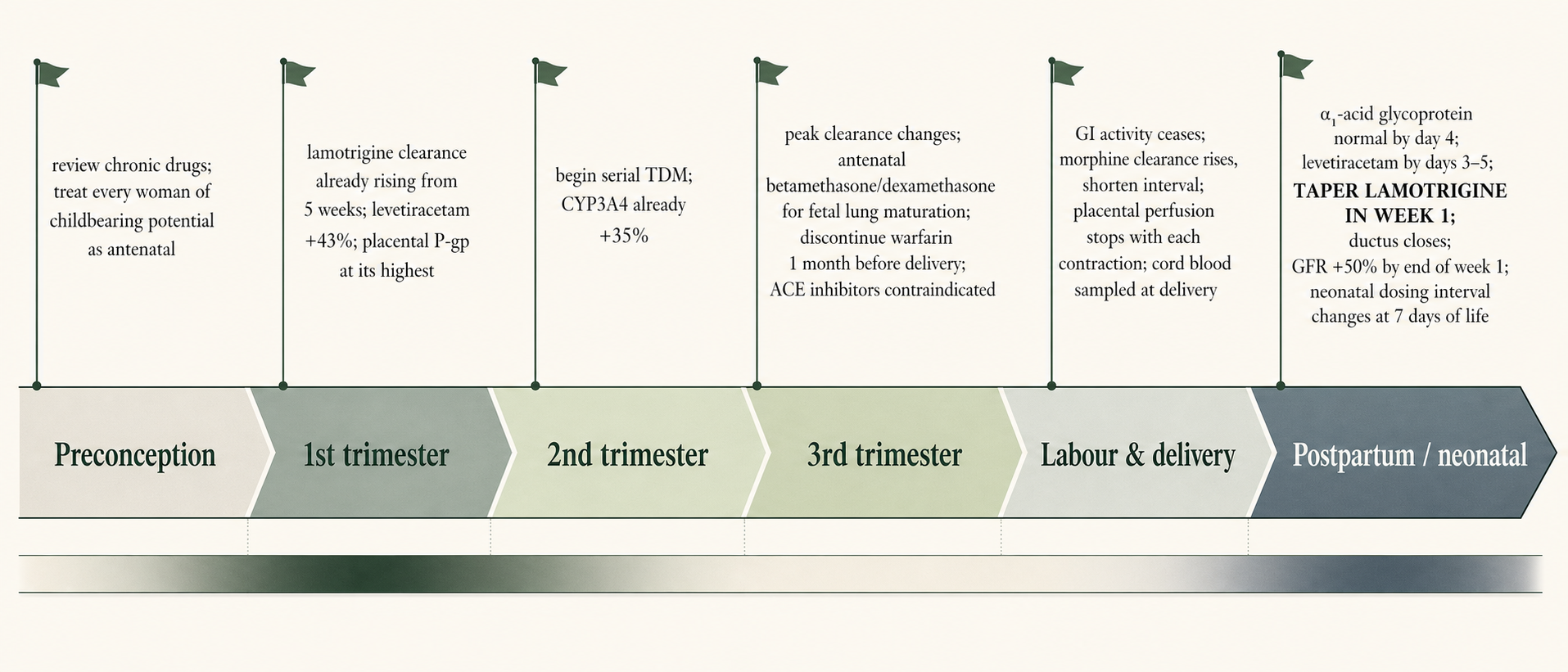 Figure 1 — Perinatal timeline of dosing decisions