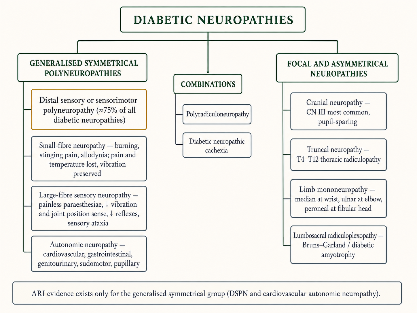 Figure 6 — Classification of the diabetic neuropathies