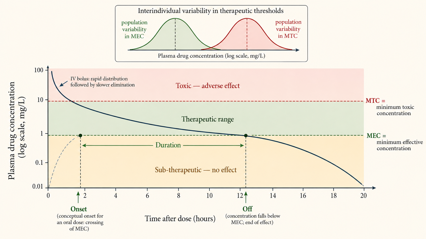 Figure 1 — Plasma concentration vs time showing the therapeutic window: MEC (sub-therapeutic boundary) and MTC (toxic boundary), with the grey overlap zone reflecting population variability.